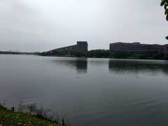 -松山湖南湖湾露营营地