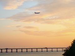 -宝安西湾红树林湿地公园