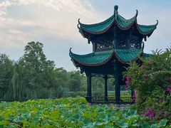 -桂湖森林公园