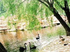 -石家庄市动物园