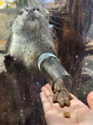 -Zoolung Zoolung动物主题公园(海信广场店)