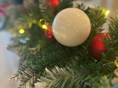 -Salon de Ville浦江汇(上海外滩华尔道夫酒店店)