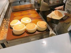 -狐狸和向日葵(北京路店)