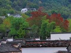 -徽州美食(三十年老店)