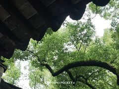 -上海醉白池公园