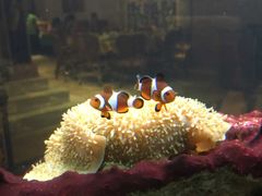 -金象湾泰国餐厅(华林路店)