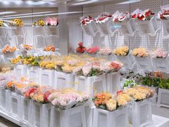 -盒马X会员店(王府井奥莱UP TOWN店)