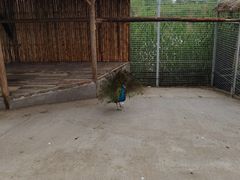 -池杉湖湿地公园