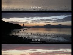 -深圳湾公园(南山区)