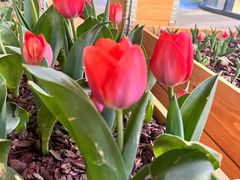 -成事园(兰溪店)