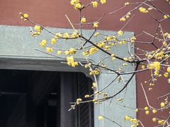 -钱王祠