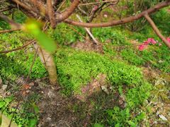 -白水带风景区体育公园