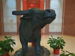 -华西龙希国际大酒店旅游观光景区