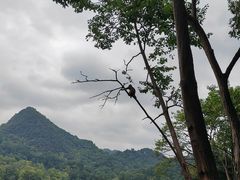 -黔灵山公园