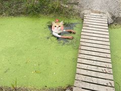 -嘉北郊野公园