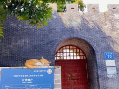 -长洲岛
