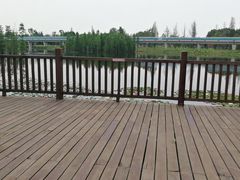 -白鹭湾湿地公园