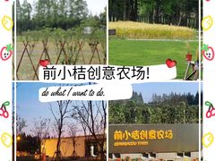 -前小桔亲子创意农场·草莓采摘·露营烧烤