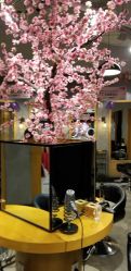 -时尚殿堂明星门店