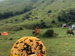 -大姆山草场