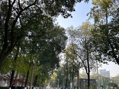 -四川大学(华西校区)