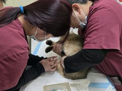 -纳吉亚猫专科动物医院博雅分院
