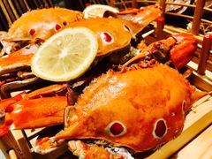 -长春高新益田福朋喜来登酒店·宜客乐标帜餐厅