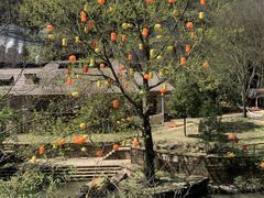 -飞天山旅游区
