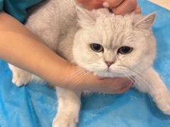 -美迦爱-牙专科·兔科·骨科诊疗中心(北苑店)