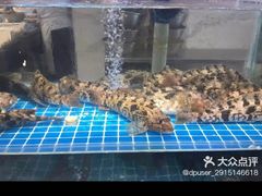 -大锅强·蒸海鲜青岛菜(吾悦广场店)