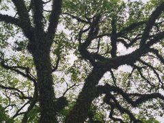 -潮州古城