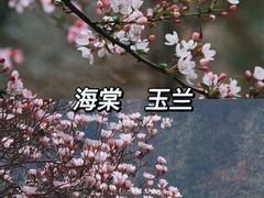 -黑河国家森林公园