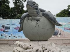 -广东惠东海龟国家级自然保护区