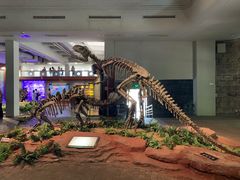 -自贡恐龙博物馆