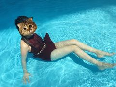 -青岛东方影都融创水世界