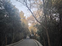 -云龙山