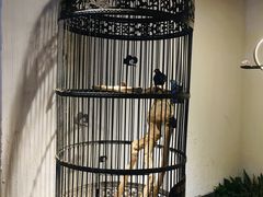 -清真·京华源铜锅涮肉(丰庆店)