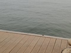 -东疆建设开发纪念公园