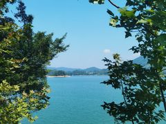 -广州市流溪河国家森林公园