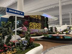 -广州白云国际机场-T2航站楼