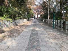 -上海佘山国家森林公园西佘山园