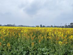 -中国天府农业博览园