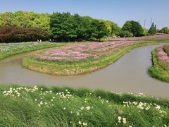 -花开海上生态园