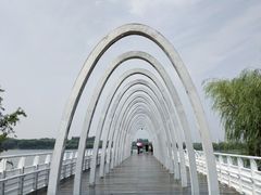 -大兴滨河森林公园