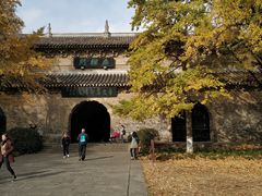 -灵谷景区