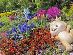 -国家植物园