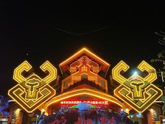 -海南槟榔谷黎苗文化旅游区