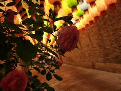 -回龙窝历史文化街区