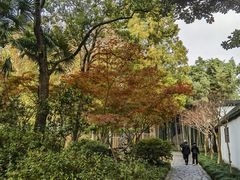 -上海醉白池公园