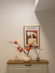 -FUMEIHUI·科技美肤·美体SPA